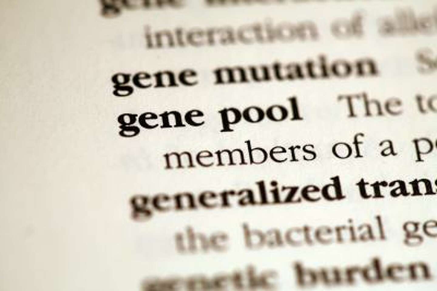 Why Is My Text Highlighted on InDesign?