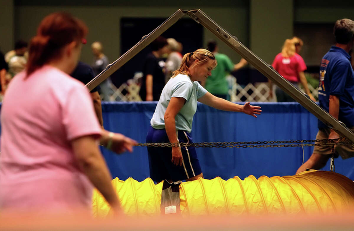 Dog Agility Competition