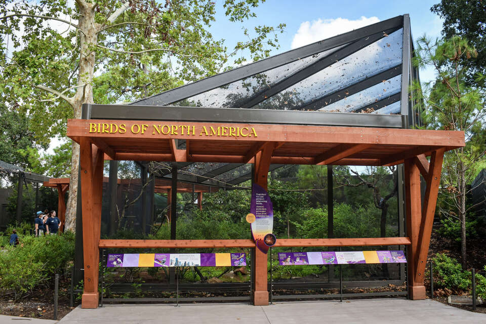 Houston Zoo Birds of the World 2025: Ultimate Guide & Top Highlights