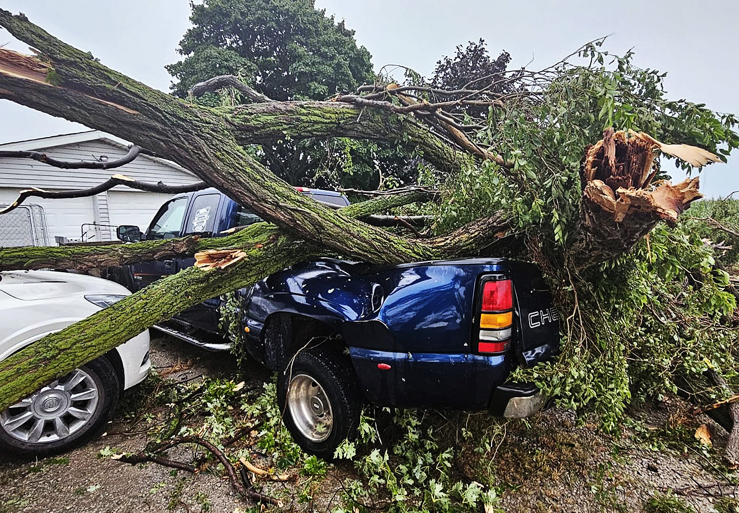 Thunderstorm knocks out power for thousands in Michigan’s Thumb