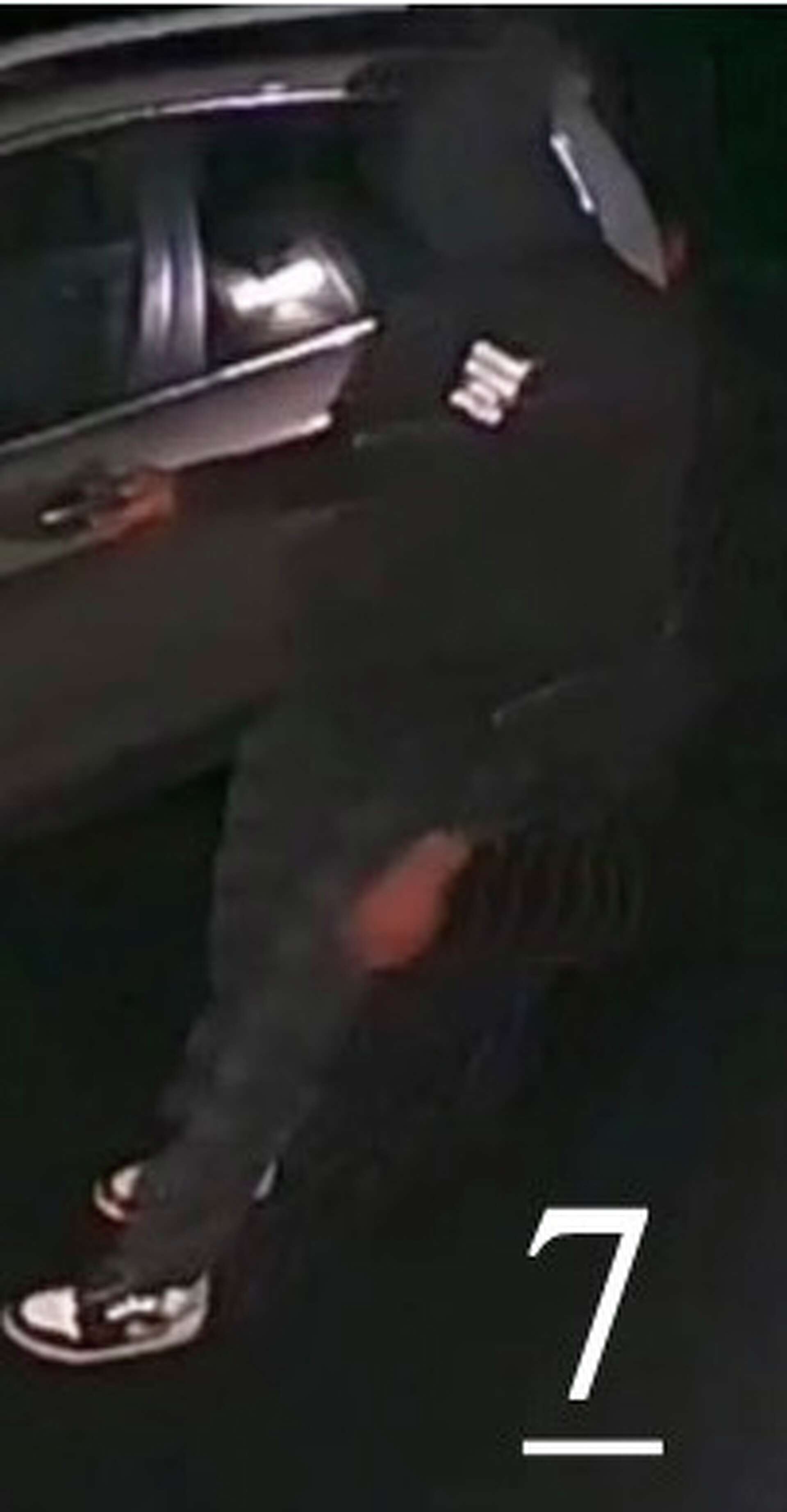 Saratoga Springs police release photos in car larceny investigation