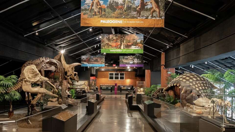  HMNS Sugar Land offers a variety of exhibits. Its permanent collection includes a Hall of Paleontology, showcasing fossils and dinosaur skeletons. 