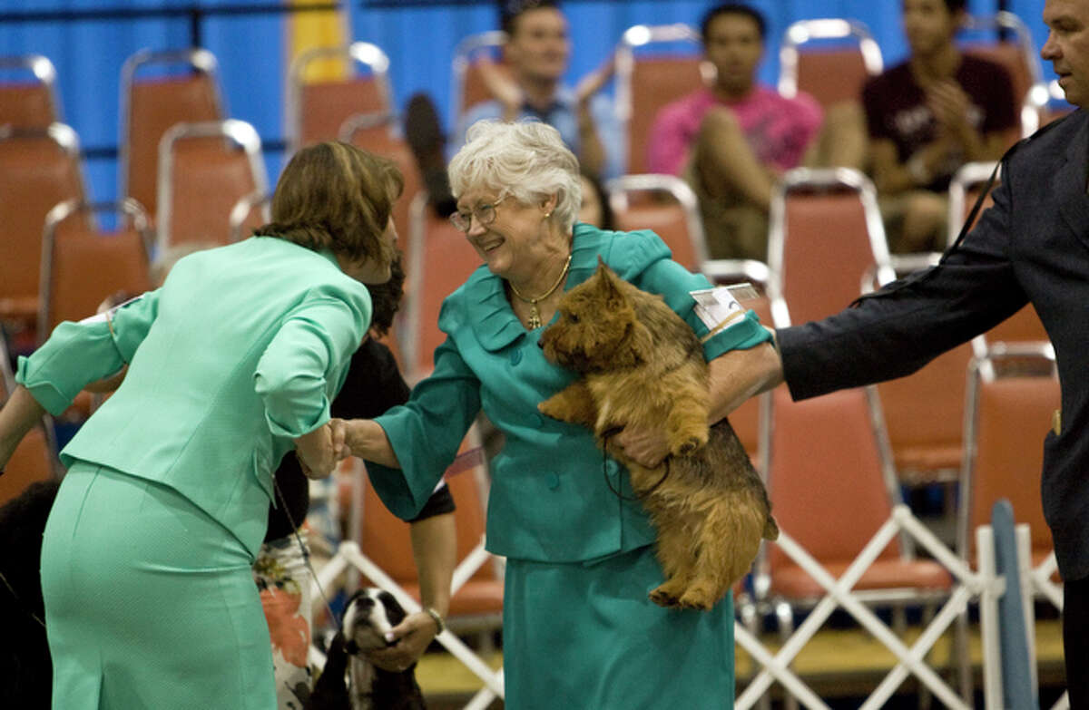 Dog Show