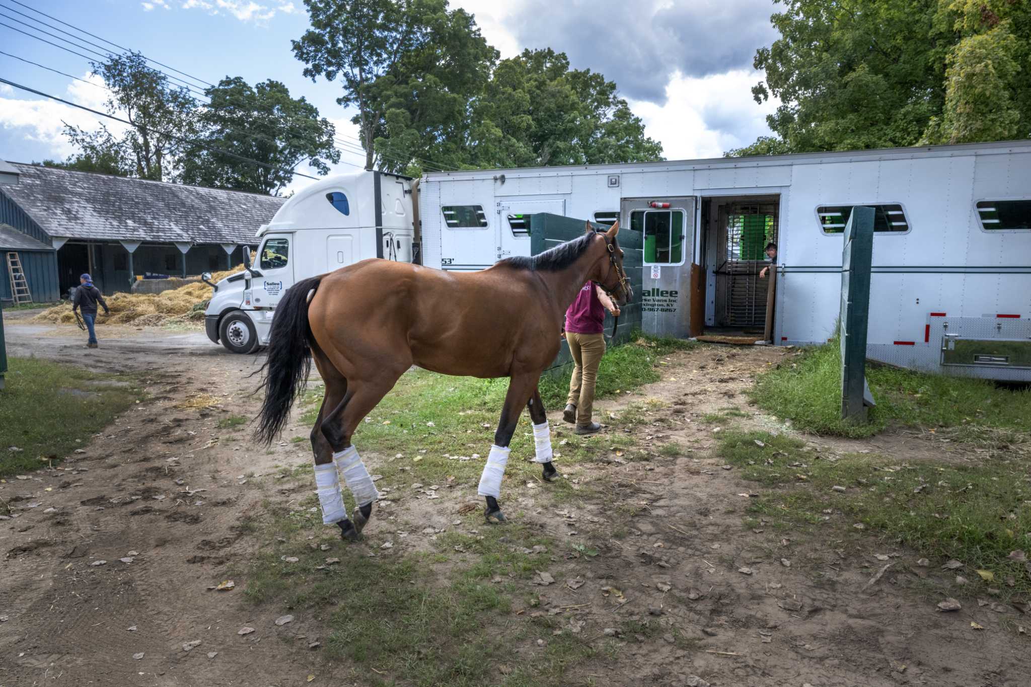 Saratoga meet wraps up with possibility for more in 2025