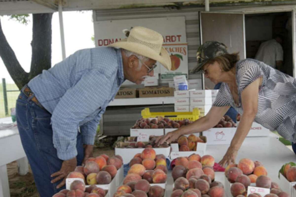 Roman and Lupe Castro, from Big Spring look over the peaches available at the Donald Eckhardt Orchard stand on Highway 87 just west of Fredericksburg, Thursday.