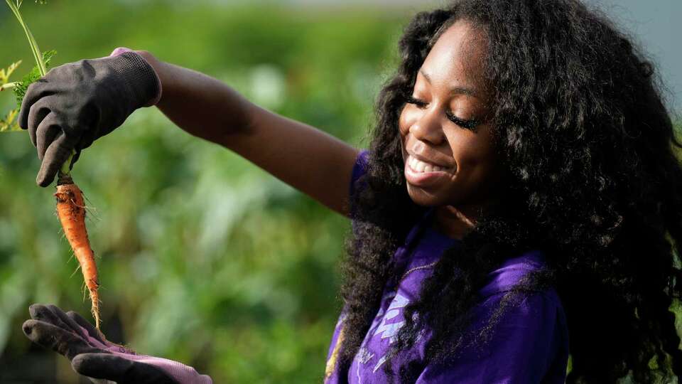 University of Houston Metropolitan Volunteer Program volunteer Samia Winfield shows other volunteers a carrot that she just harvested at Target Hunger’s community garden Tuesday, Sept. 3, 2024 in Houston. Target Hunger provides food assistance and helps address the root causes of hunger.