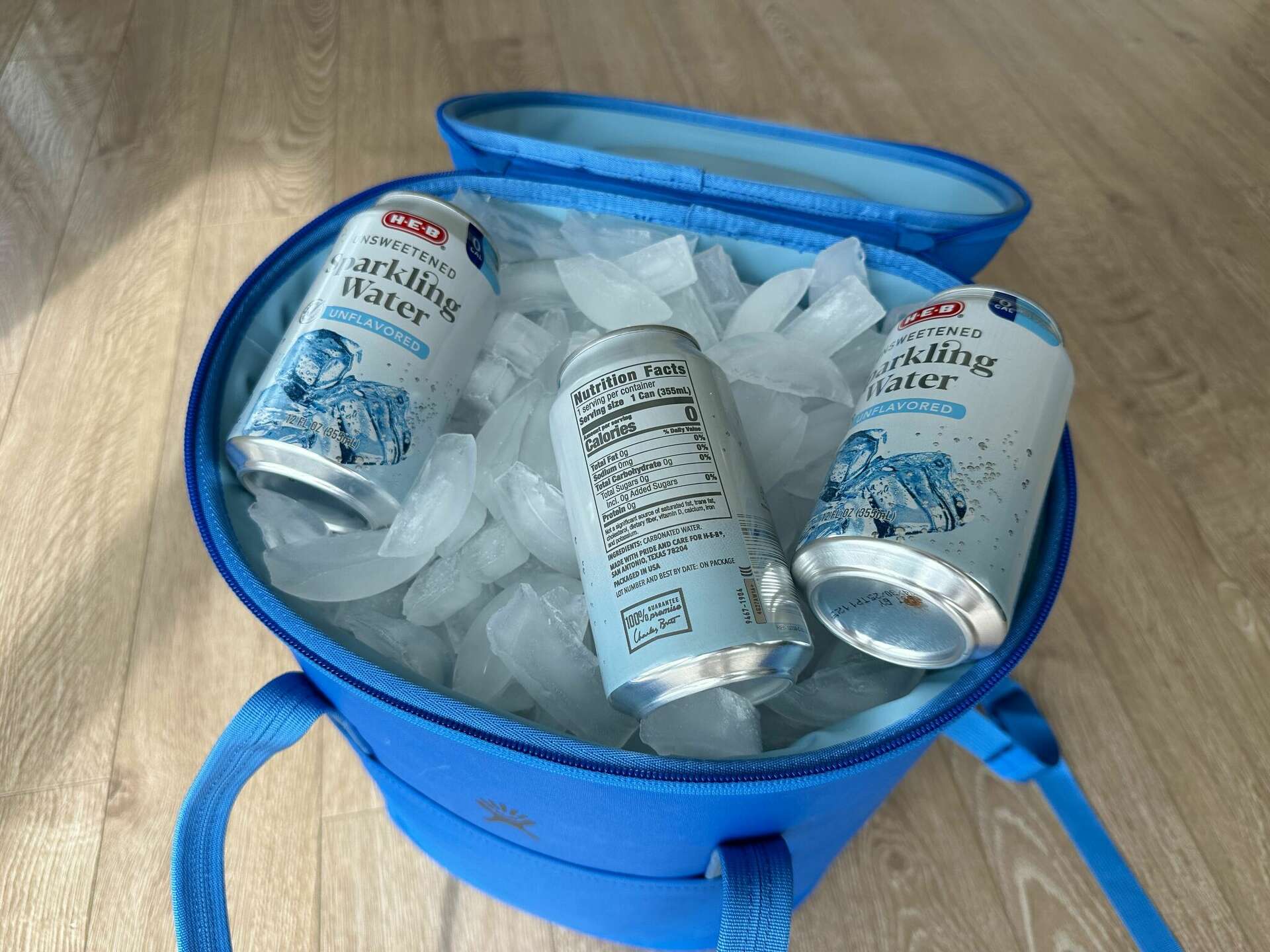 The best backpack coolers in 2025
