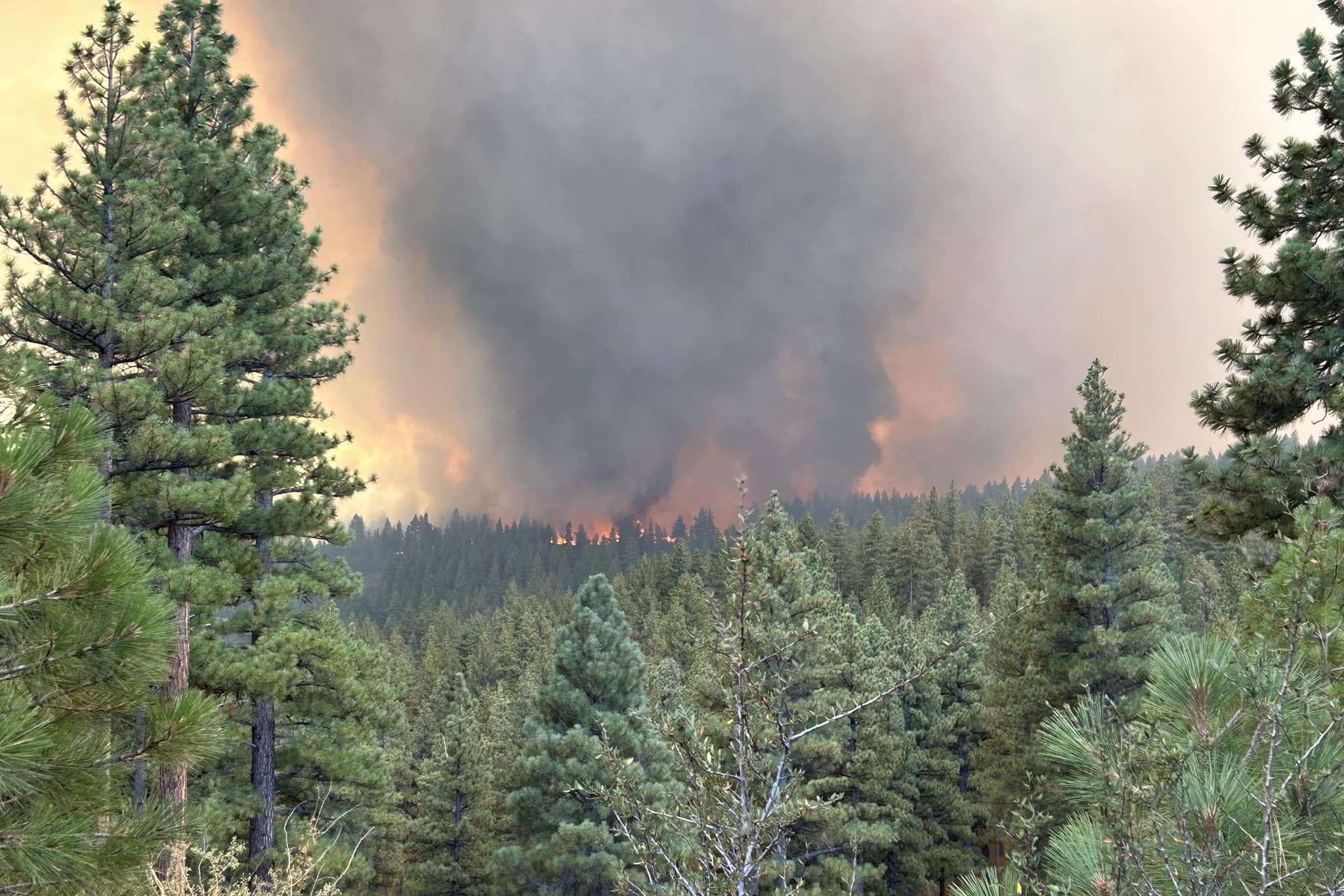 Davis Fire near Reno, Tahoe ski area triggers evacuations, closures