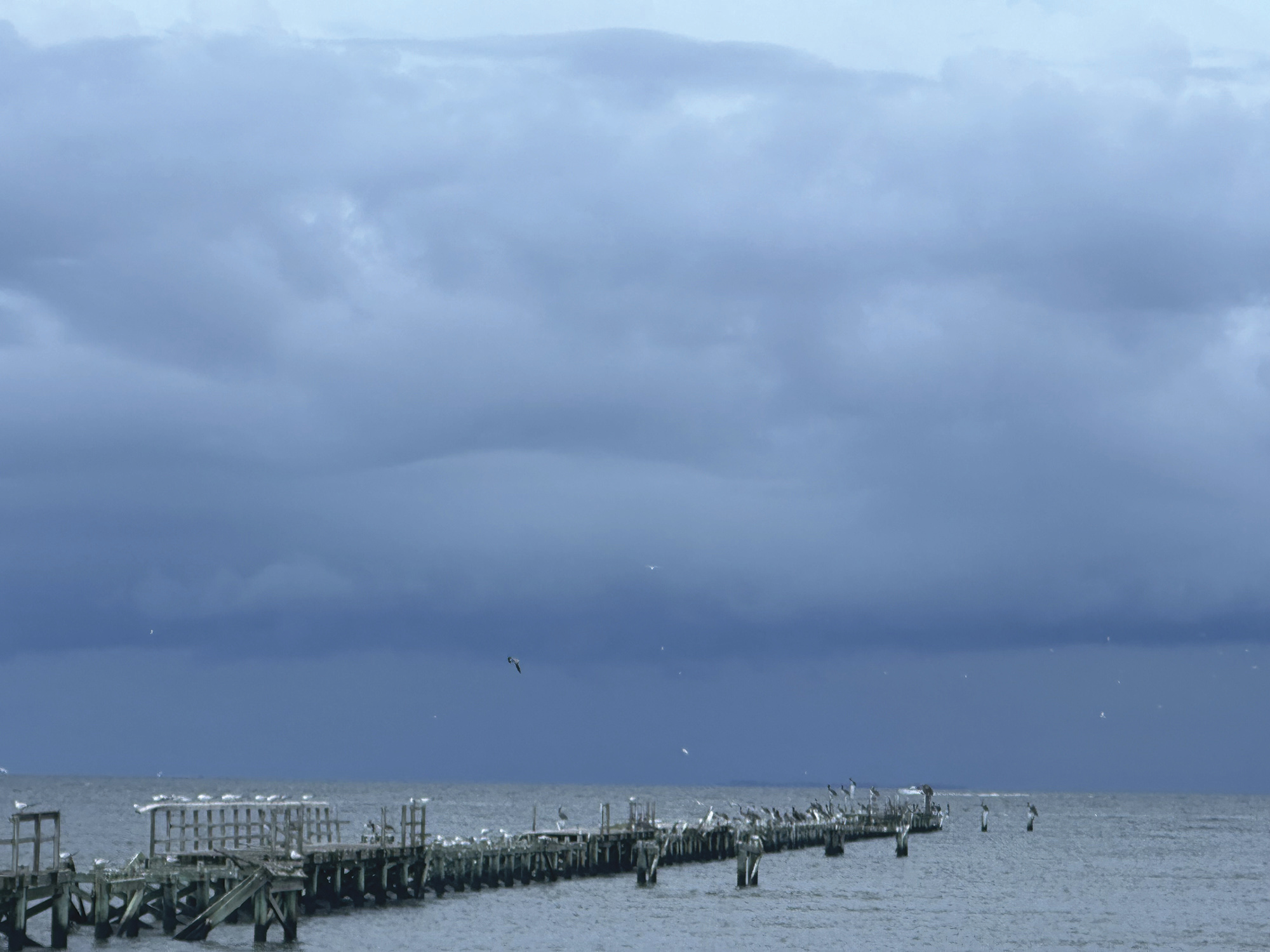 Tropical storm to drench Texas in heavy rain, up to 8 inches