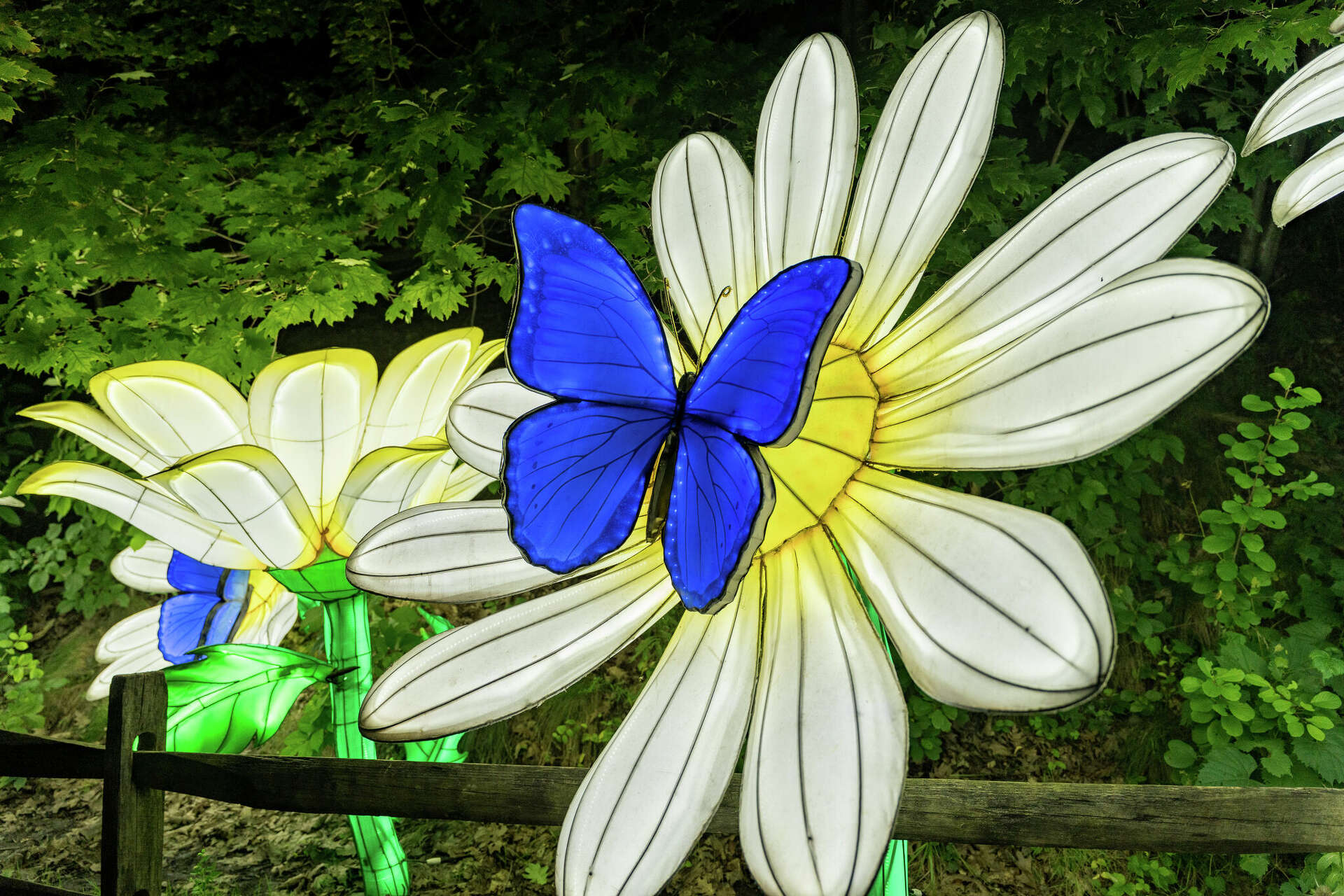 San Antonio Botanical Garden plans new light show for holidays