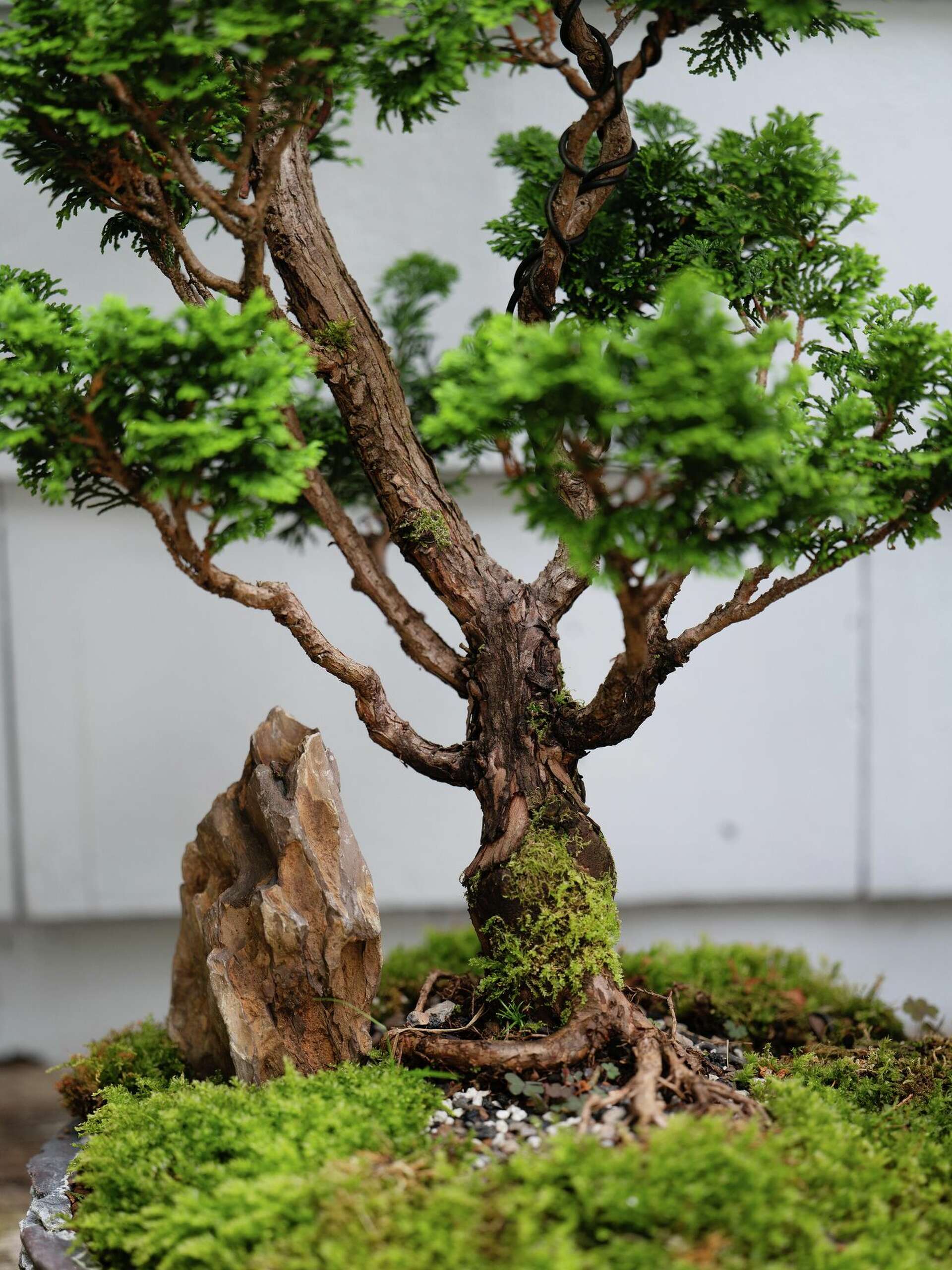 A private Japanese garden in Connecticut offers a peaceful retreat