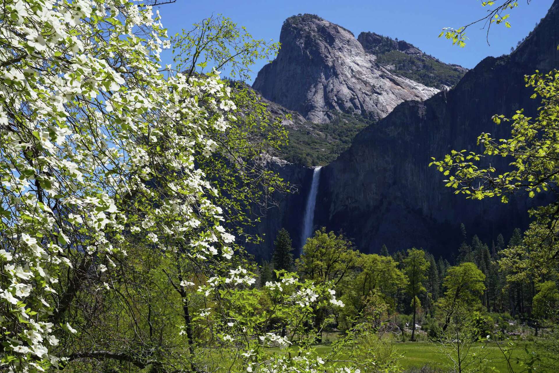 Missing Yosemite backpacker found dead — may have wandered off trail