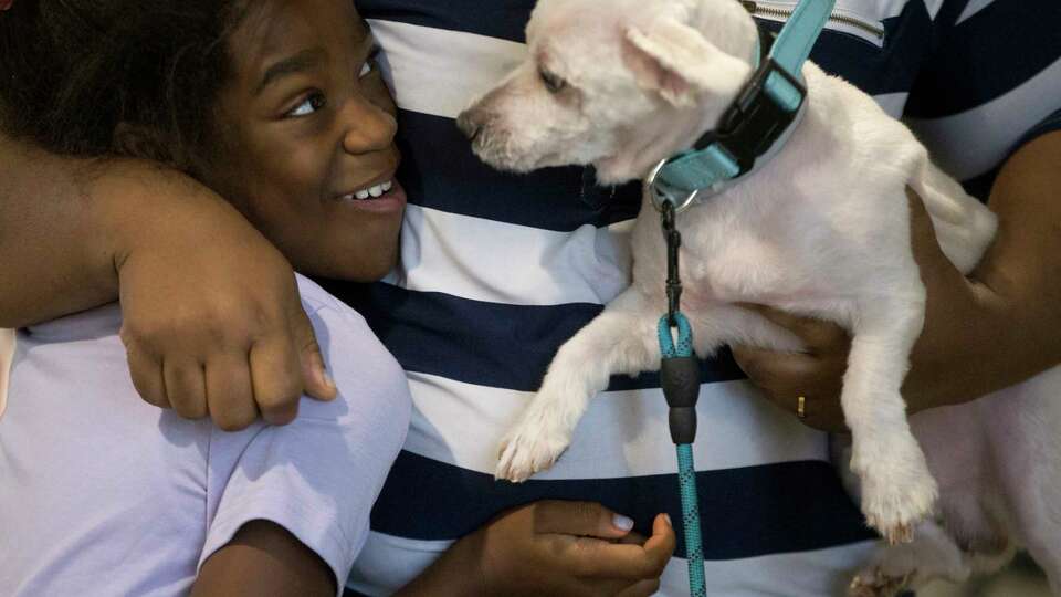 Kamsi Wachukwu, 8, and her Coton de Tulear dog Peanut are hugged by her mother Theresa during the Houston Humane Society food pantry for pets distribution at the Attack Poverty Friends of North building on Saturday, Sept. 14, 2024, in Rosenberg.