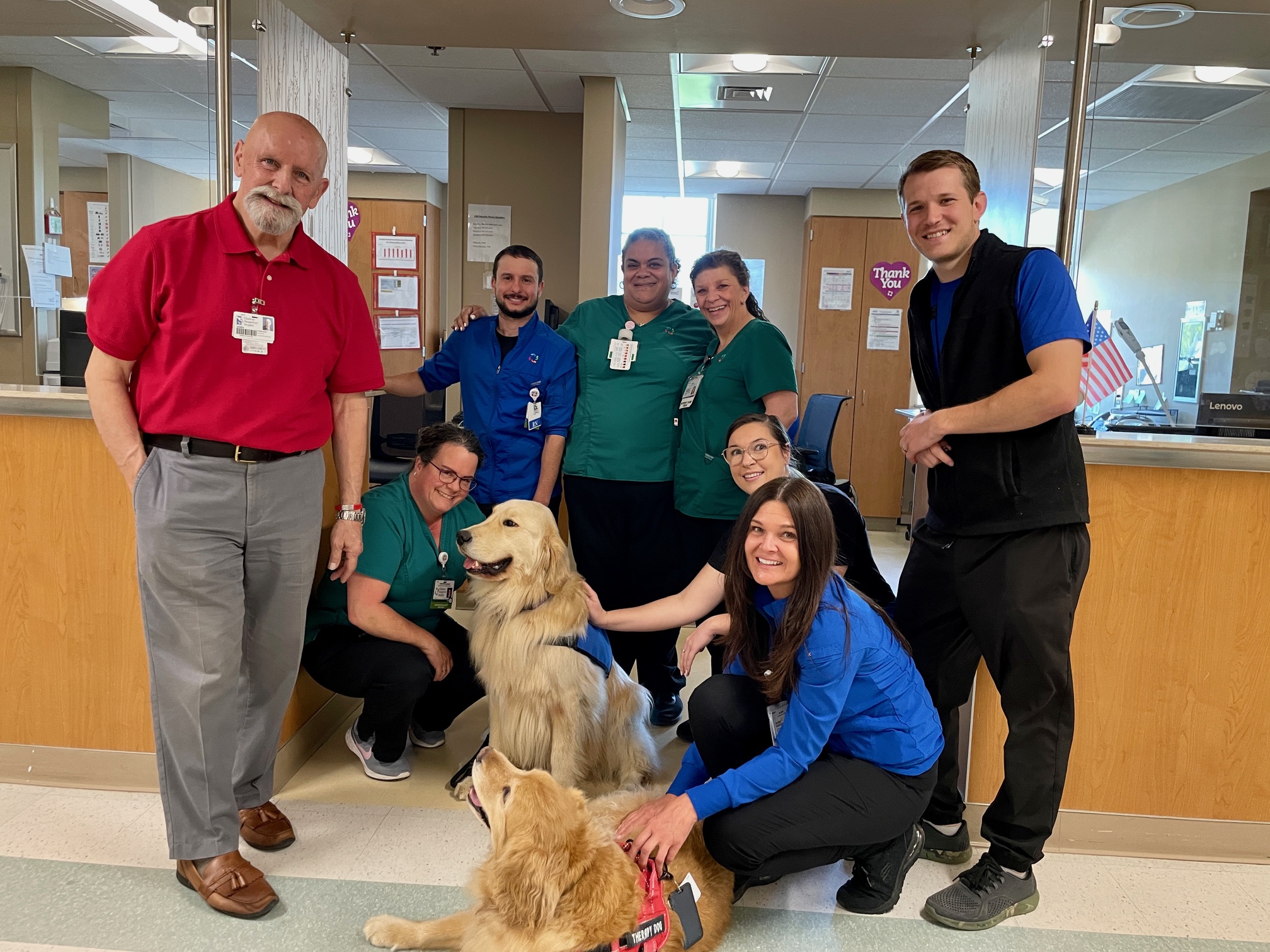 Dog Emergency After Hours Vet Near Me Emergency Care After Hours