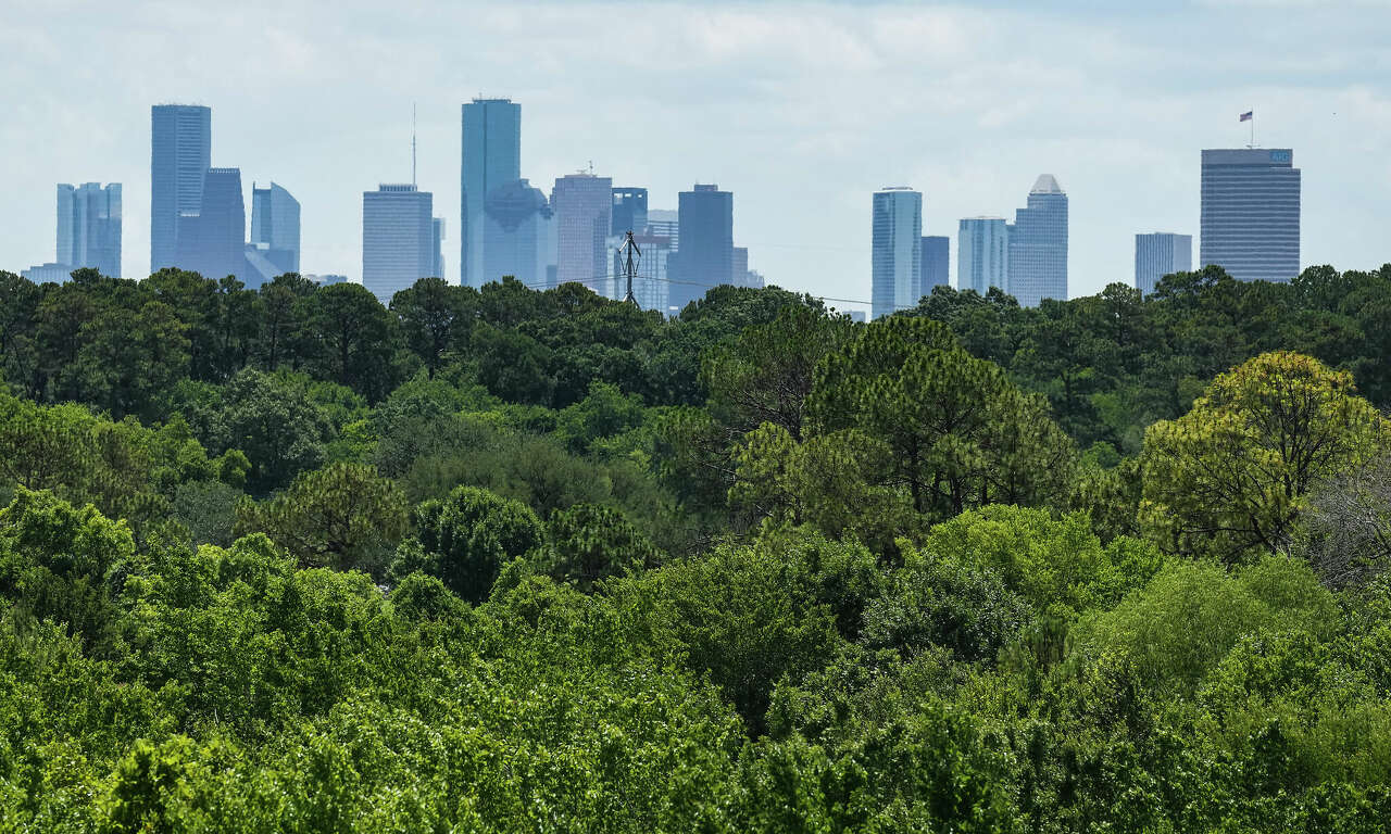 Trees from Memorial Park buffer the view of Houston?s skyline on a hazy hot day in Houston. Hot weather exacerbates ozone, an air pollutant that's harmful to asthmatics.