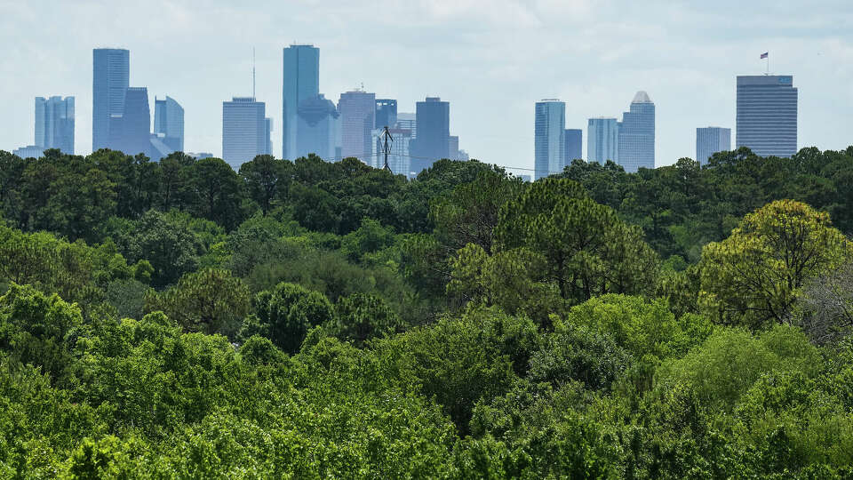 Trees from Memorial Park buffer the view of Houston?s skyline on a hazy hot day in Houston. Hot weather exacerbates ozone, an air pollutant that's harmful to asthmatics.