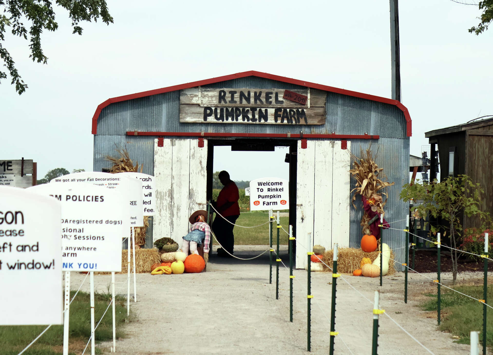 Rinkel Pumpkin Farm opens for 2024 season in Glen Carbon IL