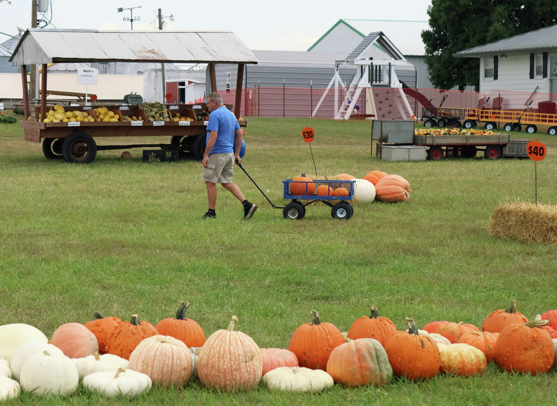 Rinkel Pumpkin Farm opens for 2024 season in Glen Carbon IL