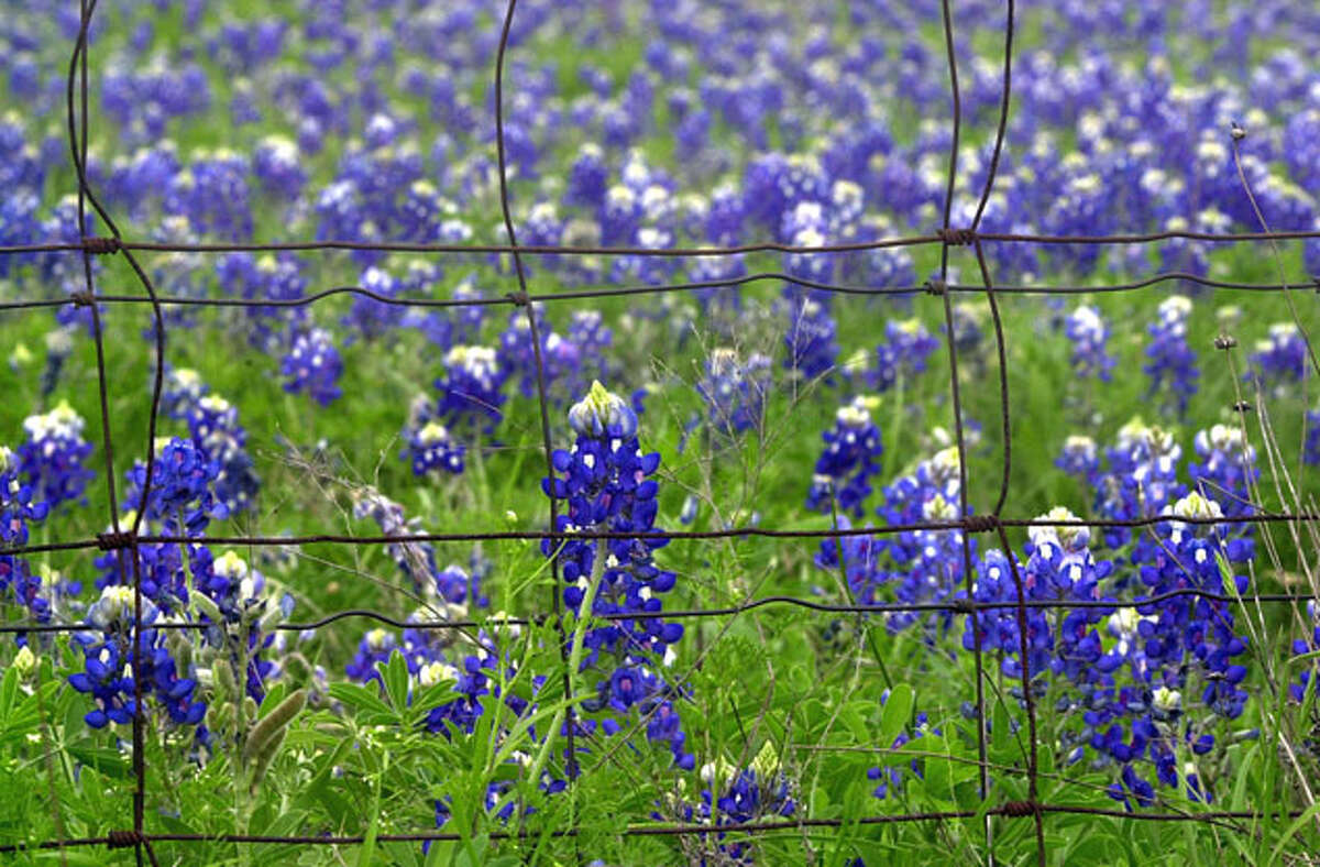 in San Antonio and beyond