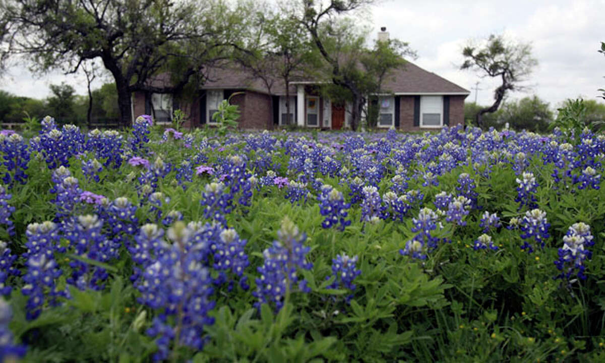 in San Antonio and beyond