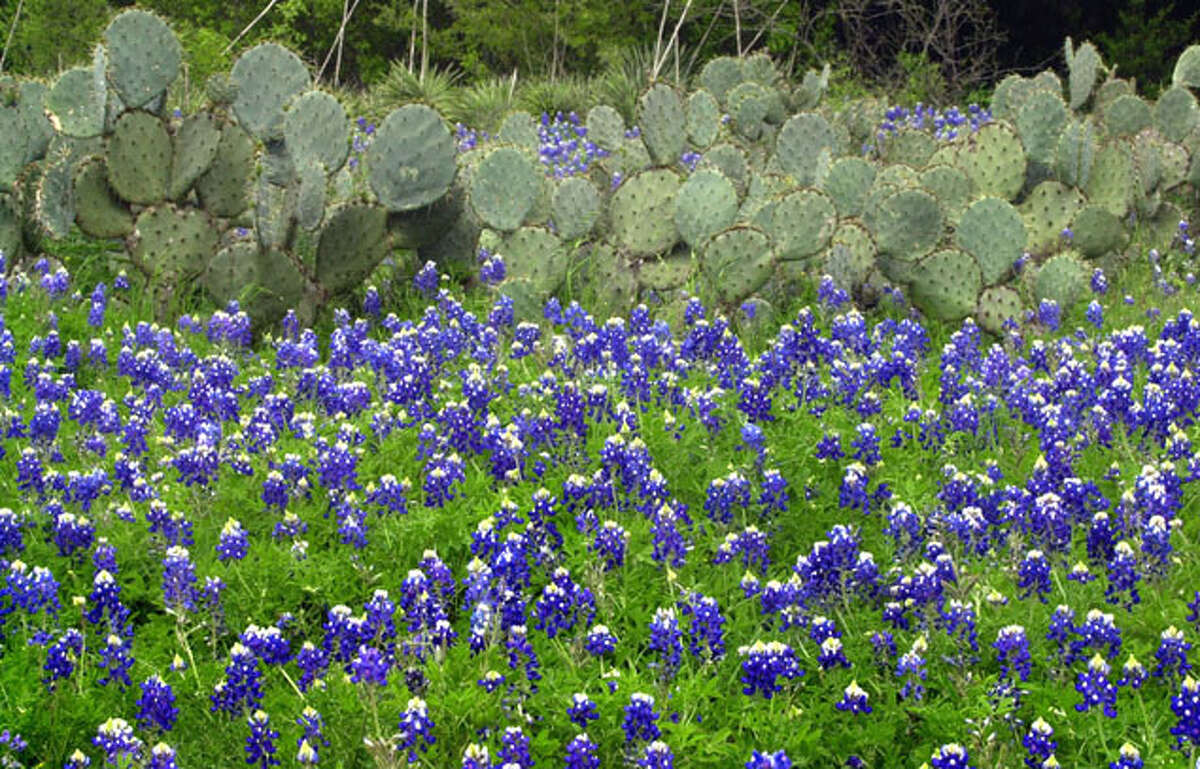 in San Antonio and beyond