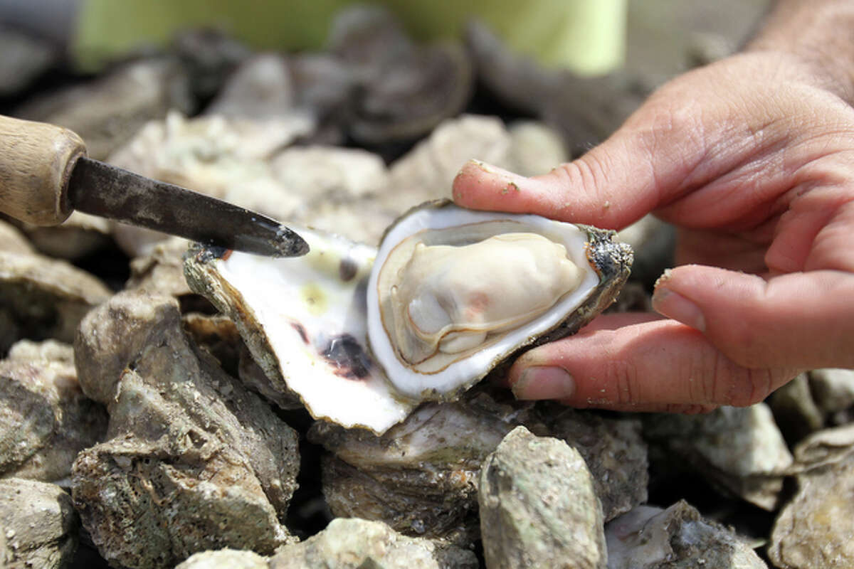 Fiesta Oyster Bake 2010