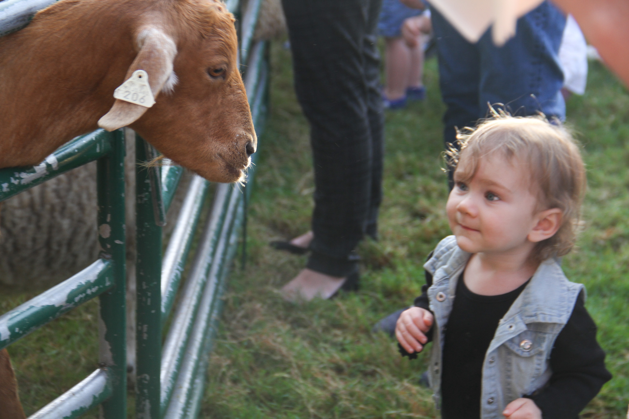 Goats, floats and kids pack Grace A. Dow Library on Thursday afternoon