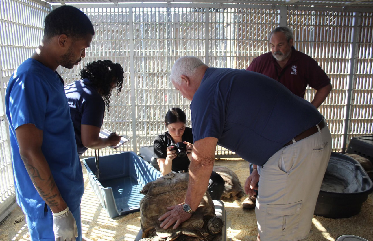 About 850 animals removed from a Santa Fe pet feeding, supplies store