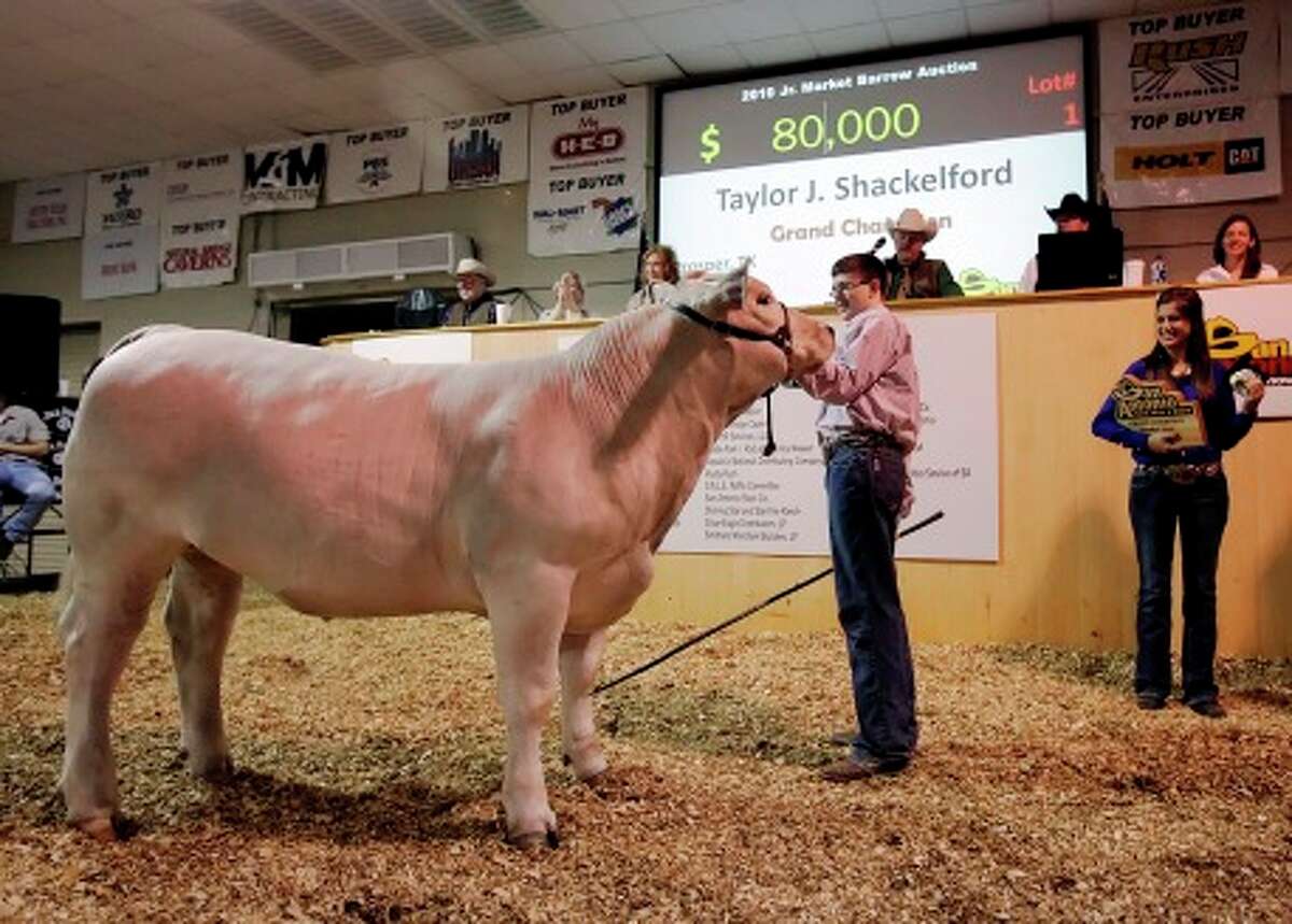 Although most don?t fetch the $80,000 that the Grand Champion steer brought in at the San Antonio Stock Show in February, cattle prices are rising toward record levels.