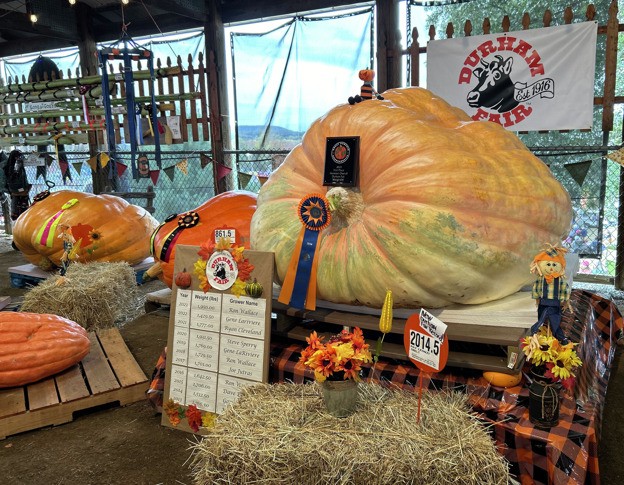 Durham Fair's winning pumpkin breaks record weighing over a ton