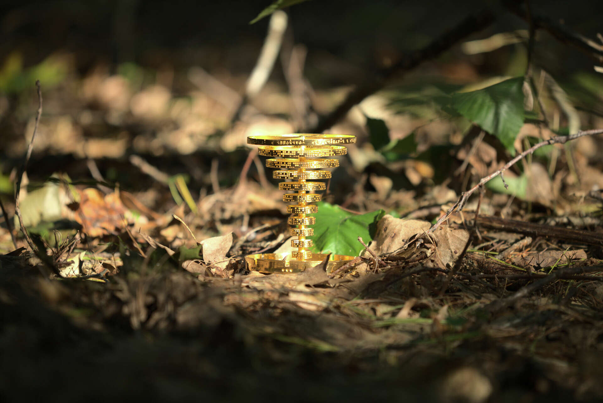 Treasure worth nearly $100K up for grabs in western Massachusetts