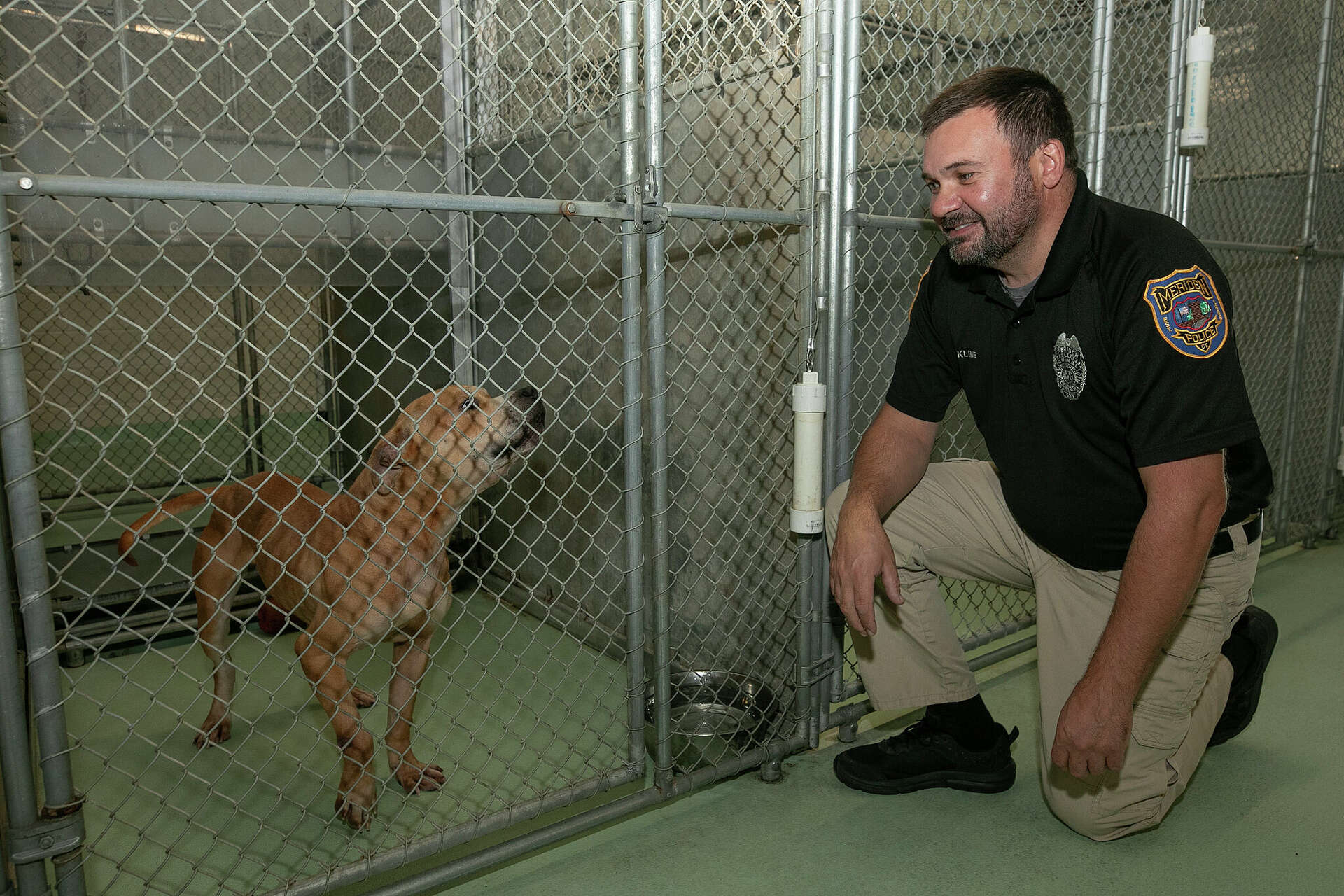 Issues at CT animal shelter spurred new law to upgrade HVAC systems