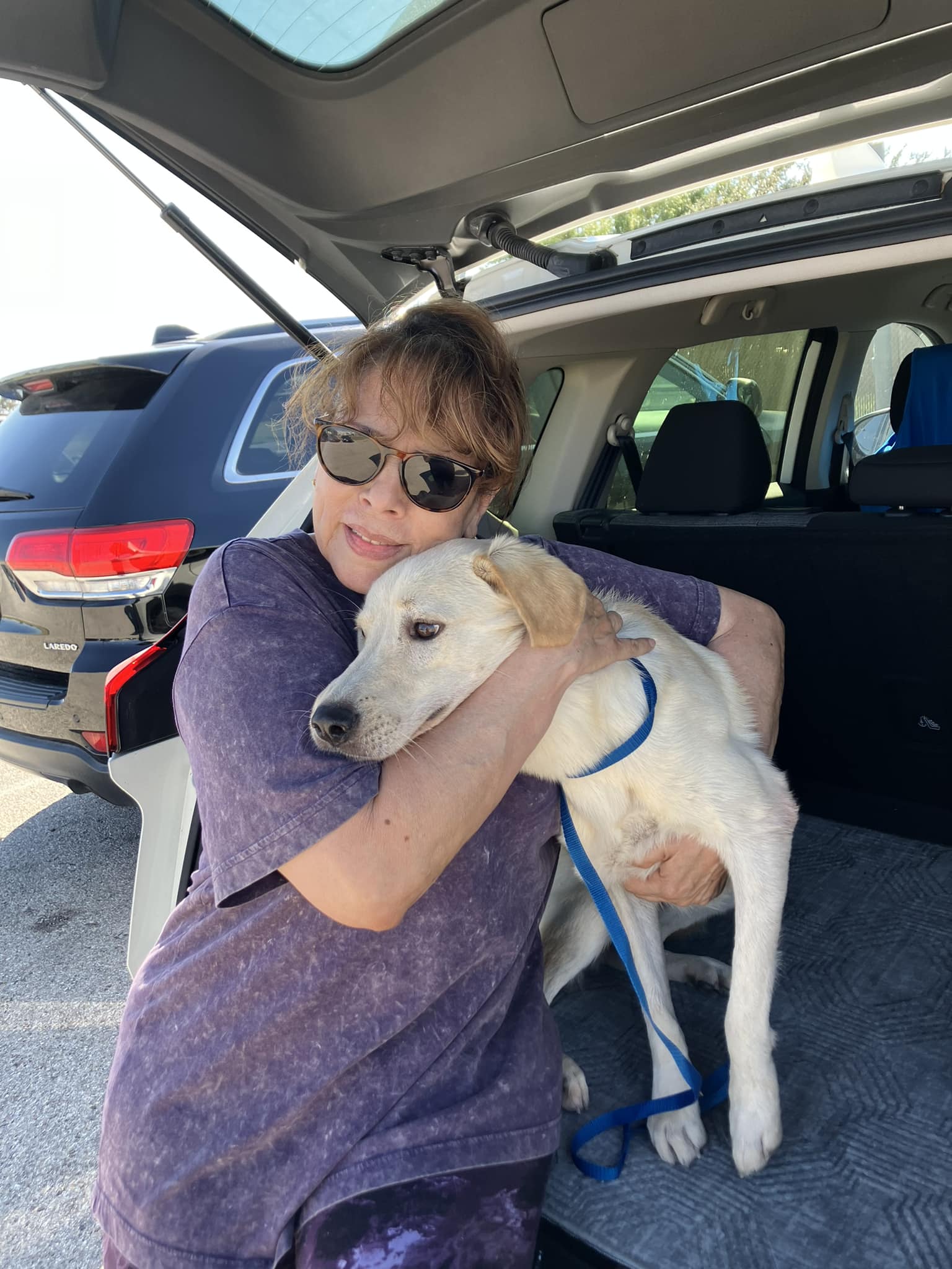 Dog reunited with owner two years after being stolen due to microchip