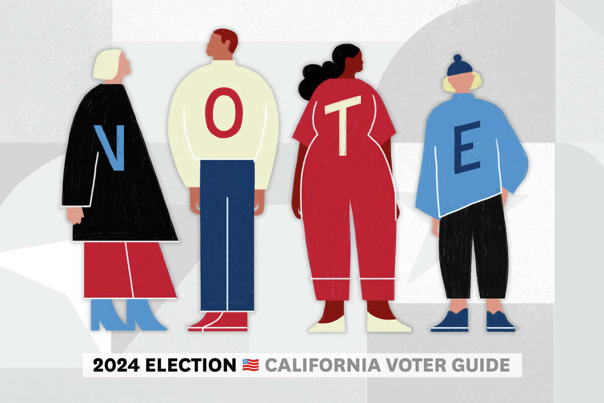 Share image for November 2024 voter guide and endorsements