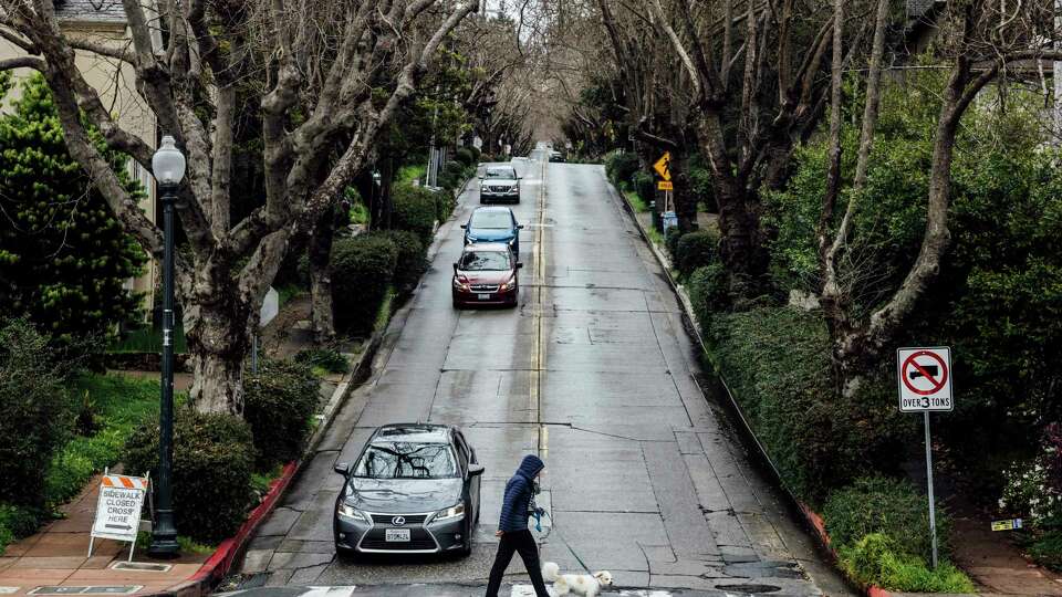 A pedestrian walks a dog at the intersection of Marin Avenue and The Circle, in Berkeley, Calif., Friday, March 1, 2024.