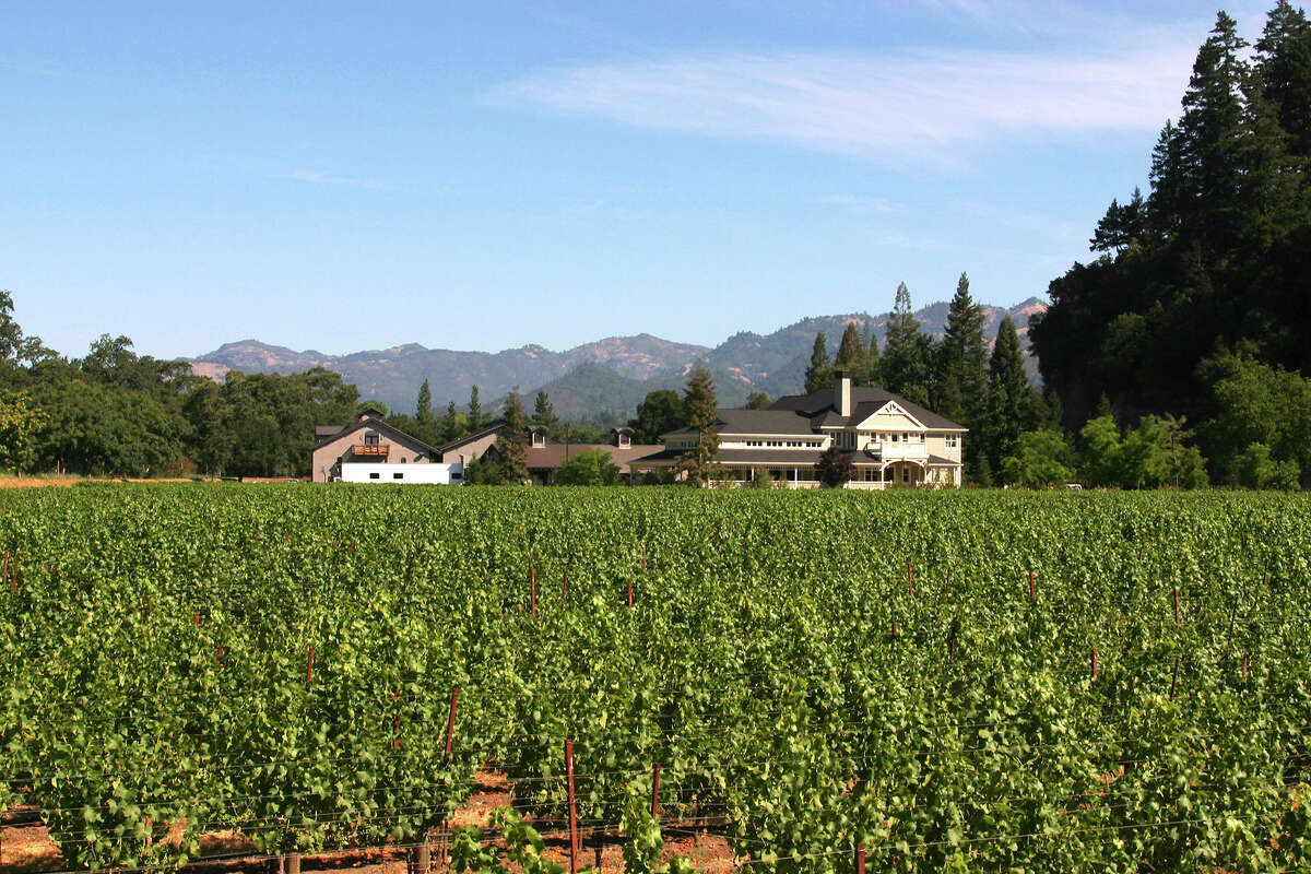 A view of Duckhorn Vineyards located in the Napa Valley. July 7, 2002