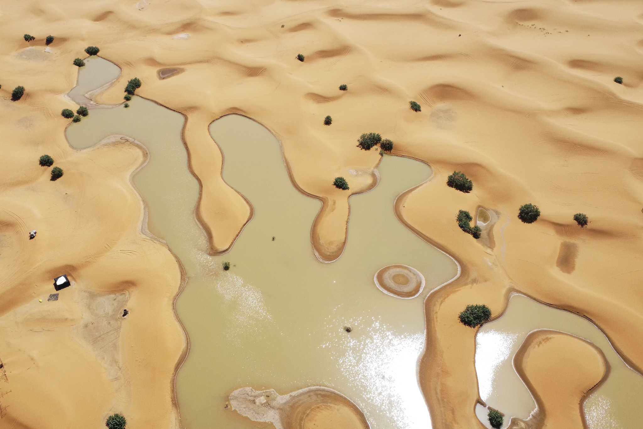 Water Gushes Through Palm Trees And Sand Dunes After Rare Rain In The ...