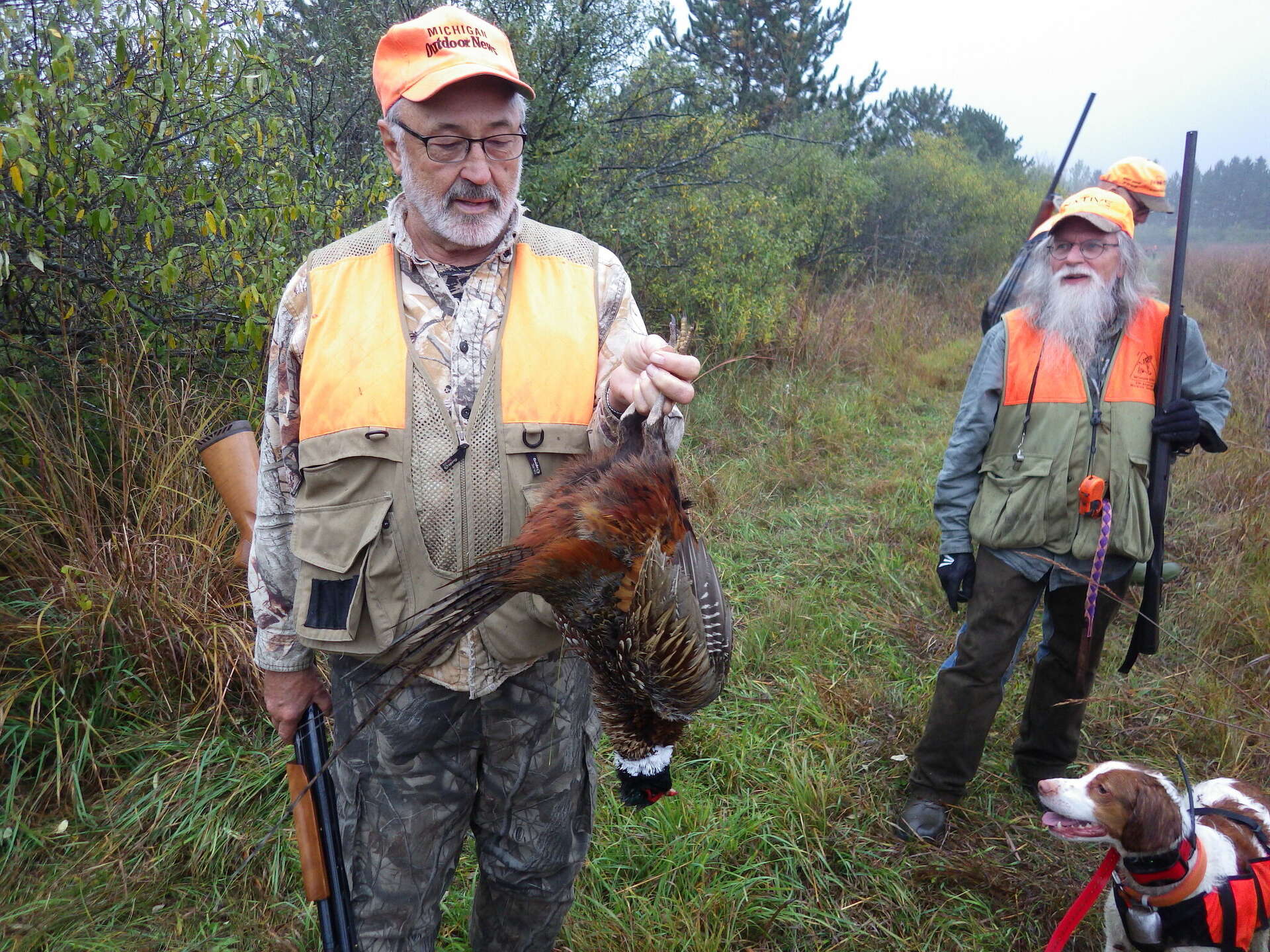 Tom Lounsbury: Can't wait to hunt wild rooster pheasants