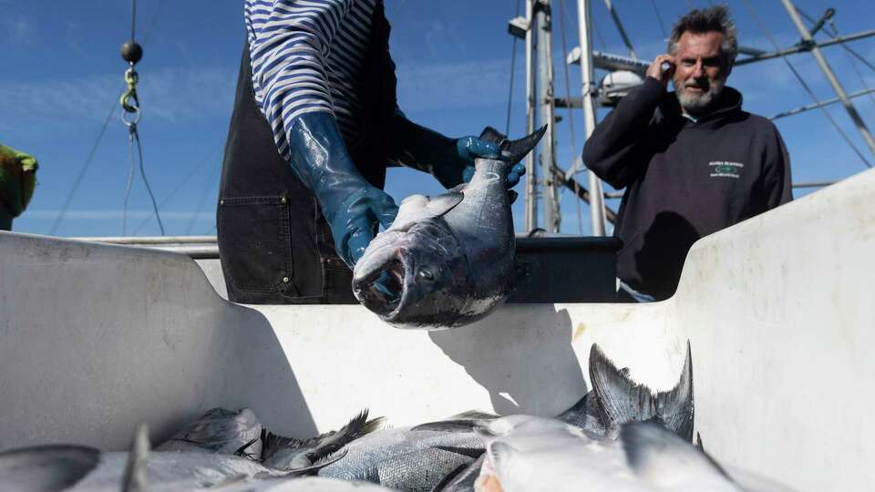 Michael Mcgowen, left, and Joe Garofalo help[ unload salmon from Jason Salvato’s boat Willanina at Pier 45 in San Francisco, Calif. Wednesday, May 25, 2022.