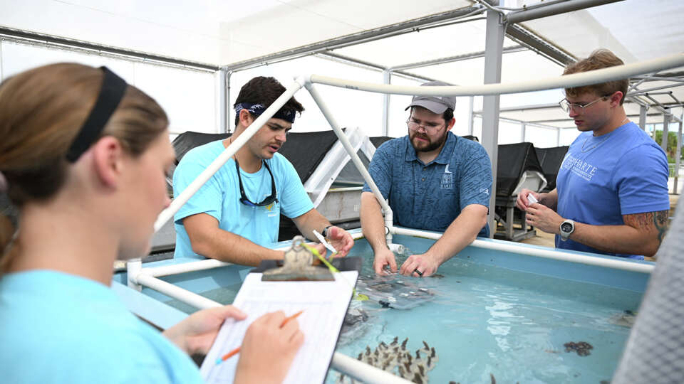 Nova Southeastern University research associate Shane Weaver talks with Harte Research Institute Coral Research Specialist Robert Bretzing, and graduate research assistant David Armstrong at Nova Southeastern University in Fort Lauderdale, Florida. 