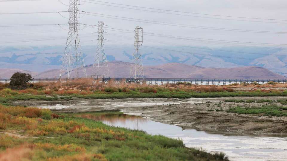 Native plants grow towards the restored pond bottom in the habitat transition zone at Bedwell Bayfront Park in Menlo Park, California Friday, Sept. 20, 2024. In December, officials opened a 300-acre former industrial salt pond to the bay as part of the South Bay Salt Pond Restoration Project.