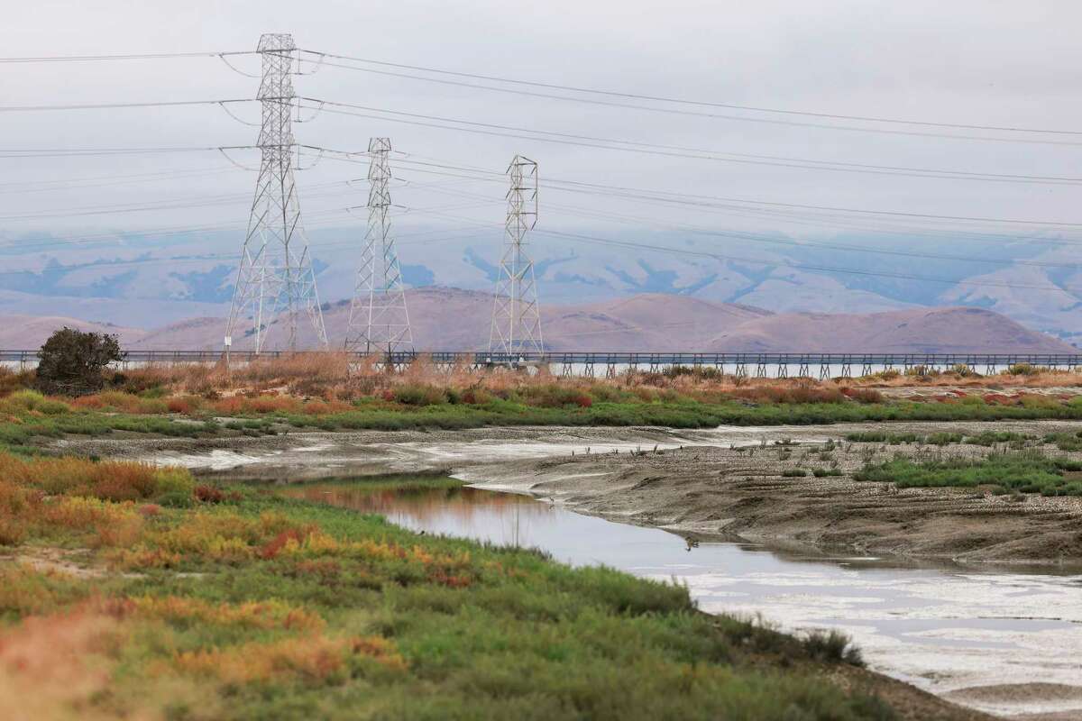 Native plants grow towards the restored pond bottom in the habitat transition zone at Bedwell Bayfront Park in Menlo Park, California Friday, Sept. 20, 2024. In December, officials opened a 300-acre former industrial salt pond to the bay as part of the South Bay Salt Pond Restoration Project.