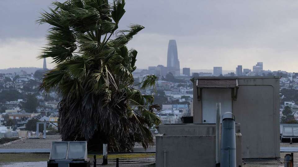 A palm tree blows in the wind in the Richmond district near Lincoln Park Golf Course in San Francisco on Monday, Feb. 19, 2024. San Francisco is expecting rain and high winds during Presidents’ Day.