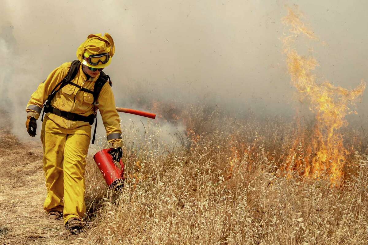 Jocelyn Fierro with the California State Parks’ Diablo Range District ignites vegetation with a drip torch during a 30-acre prescribed fire in the Mitchell Canyon area of Mount Diablo State Park in Clayton, Calif. Wednesday, May 15, 2024. The two day event, with personnel drawn from various park districts in Northern California and members of the Central Coast Prescribed Burn Association, is the first prescribed fire within Mount Diablo State Park in almost two decades with the goal to reduce fuel load in the wildland-urban interface and manage growth of invasive species for better biodiversity.