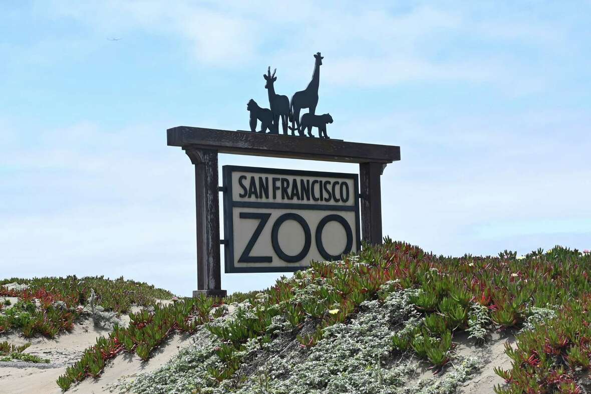 San Francisco Zoo sign can be seen in San Francisco, on Thursday May 16, 2024.