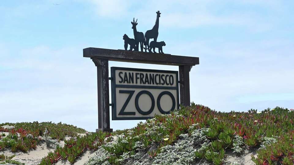 San Francisco Zoo sign can be seen in San Francisco, on Thursday May 16, 2024.