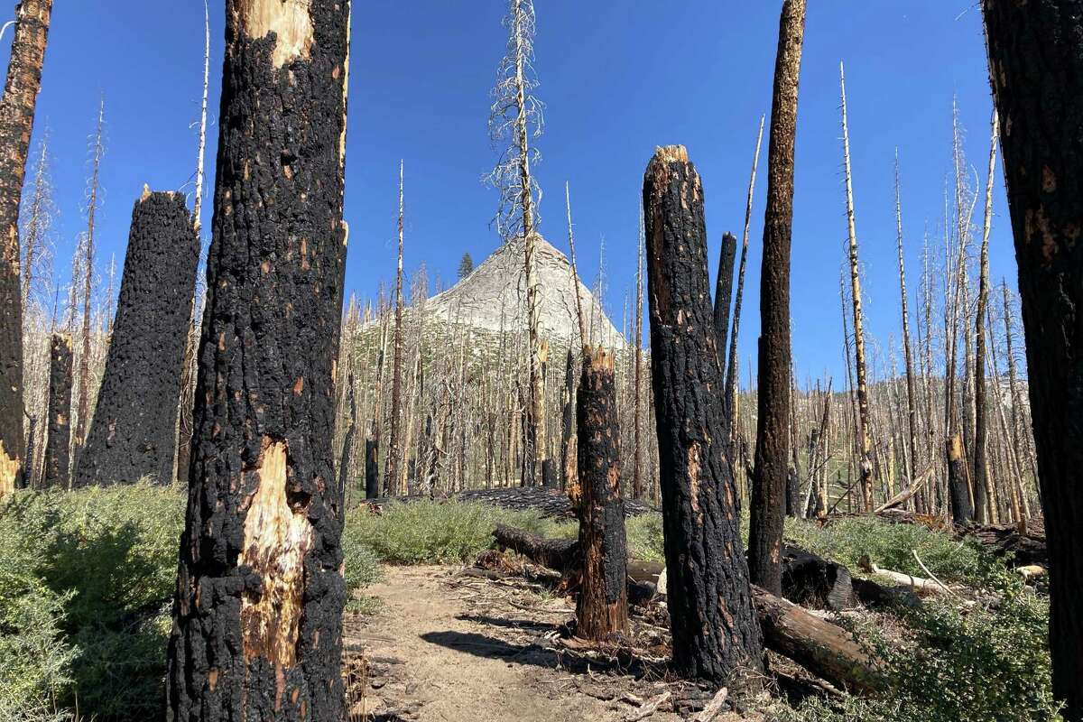 Scenes from my backpacking trip with my wife in October 2024 through the burn zone of the 2014 Meadow Fire in Yosemite National Park near Half Dome and Clouds Rest. From this area, we were able to spot a forest fire burning on our route in the distance.