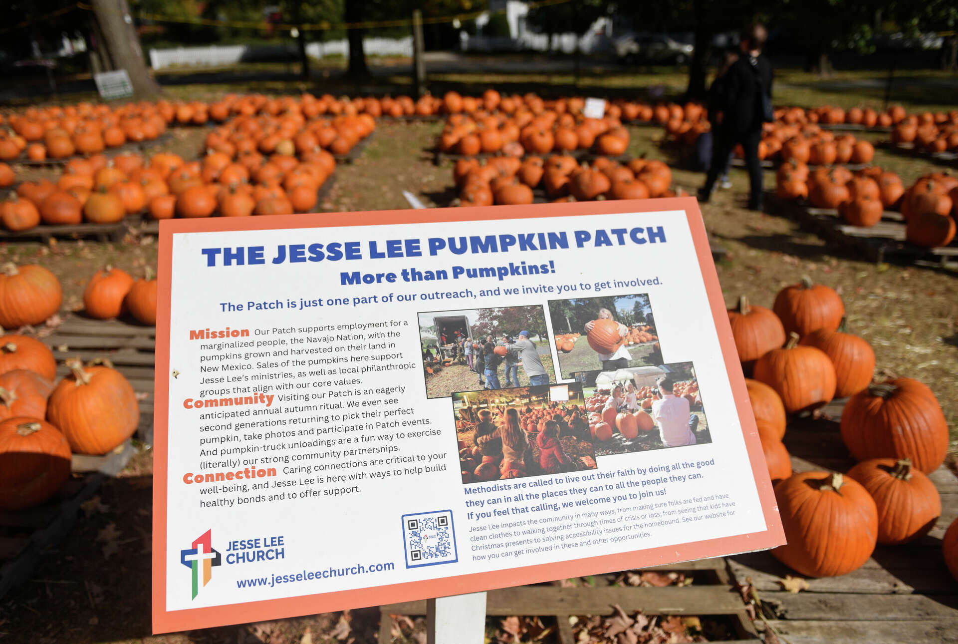 In photos Ridgefield Jesse Lee Church fills pumpkin patch for sale