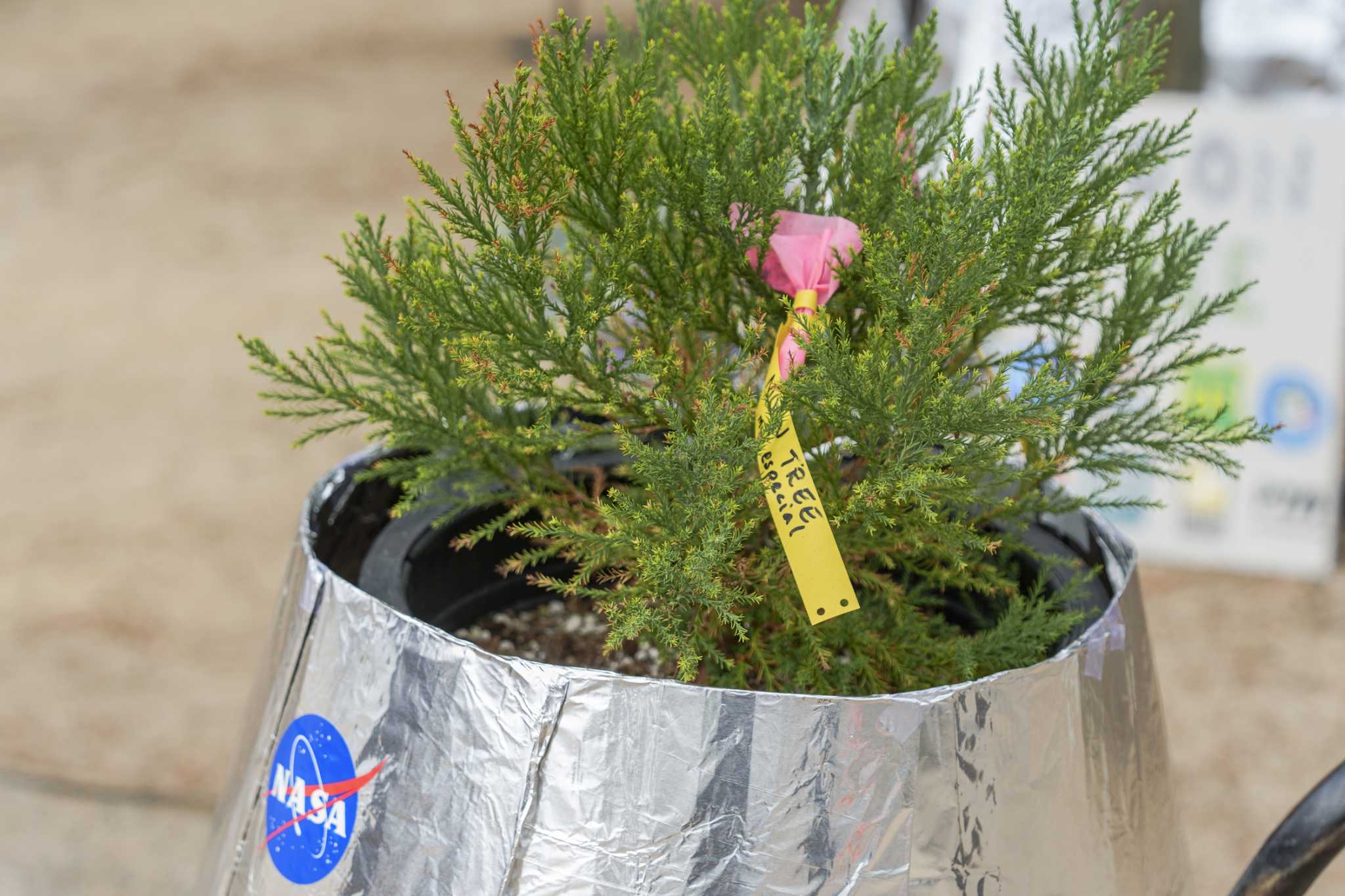 Santiago STEAM Magnet Elementary School Receives Moon Tree