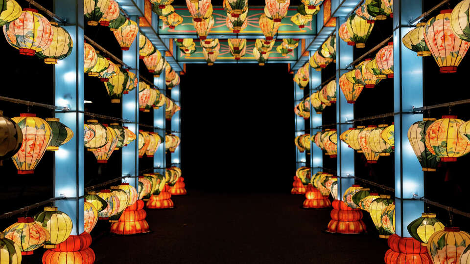 Lantern Corridor at 'Radiant Nature' at Houston Botanic Garden